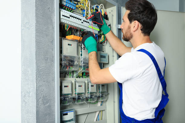 Best Electric Panel Repair  in Lawton, IA