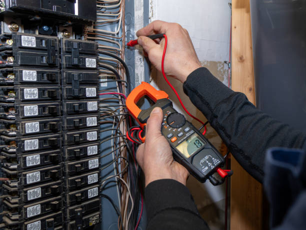 Best Electric Panel Repair  in Lawton, IA